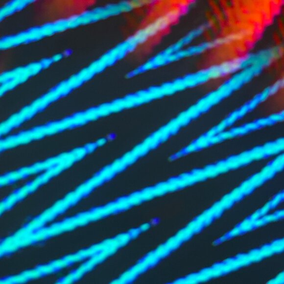 Meet your Posher, Jen - Picture 1 of 1